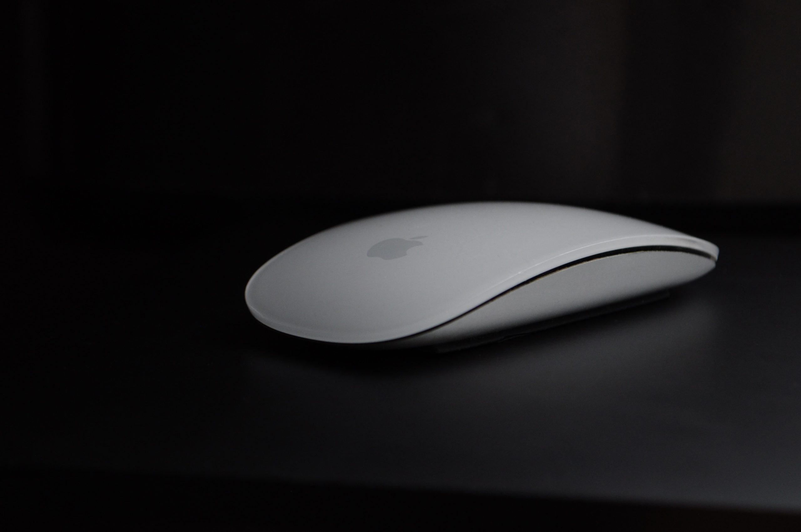 mouse gratitude plate